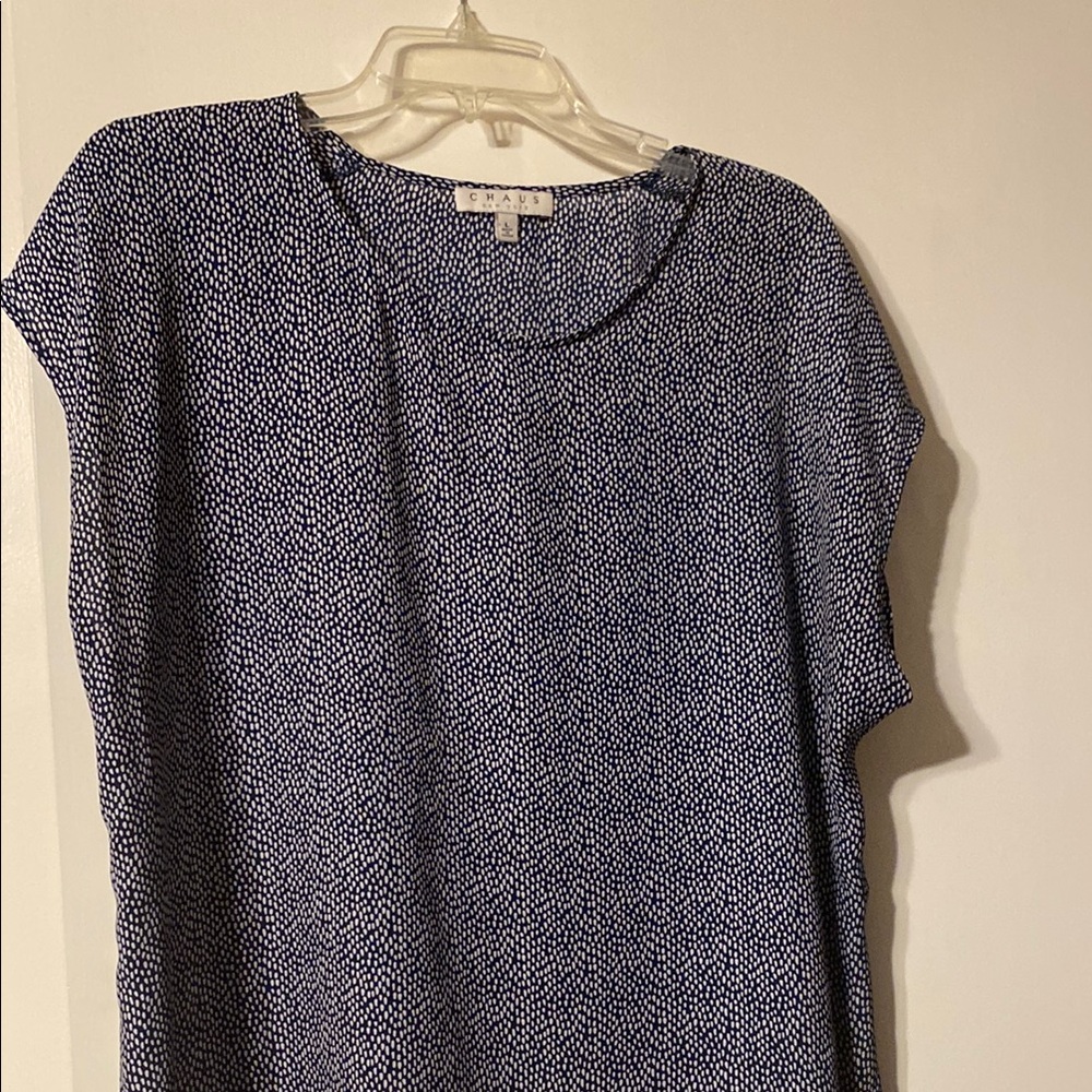 Chaus Blue and White Boxy Blouse